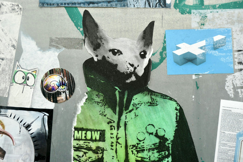 Discover the Ultimate Guide to the Best Month in Ireland